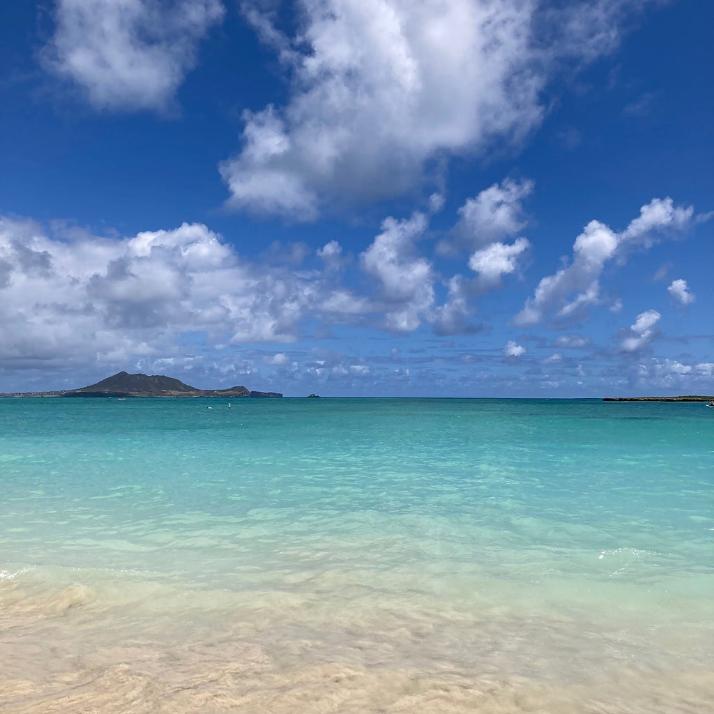Hawaii Bound - VI