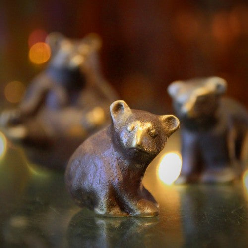 Mama Bear (and Her Cubs)