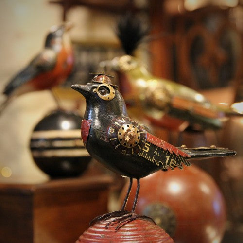 A Black Bird on Black Friday