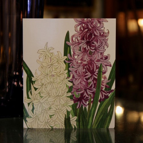 Hyacinths
