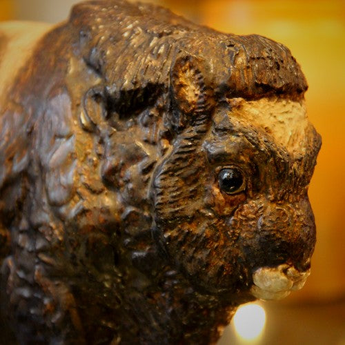 The Musk Ox