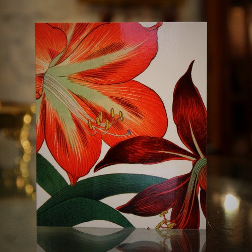 Lillies