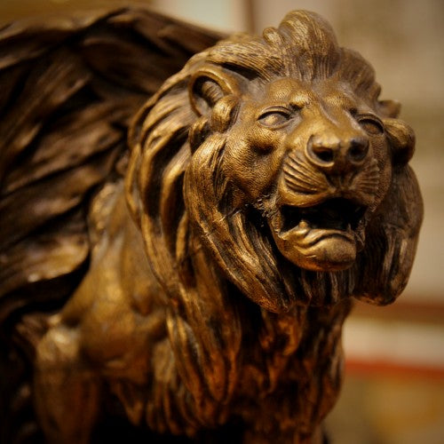 In with a Roar!