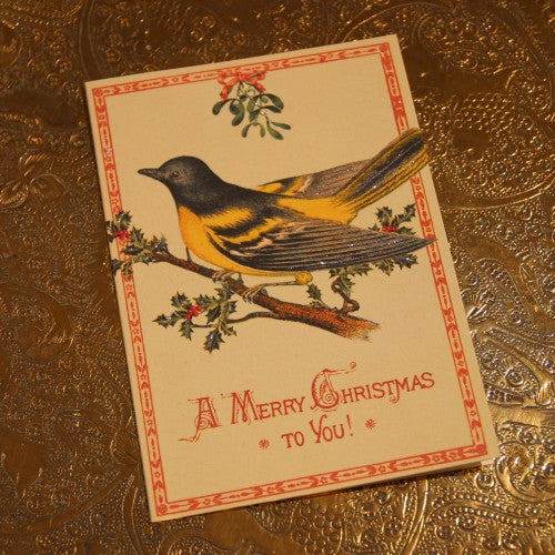 Merry Christmas