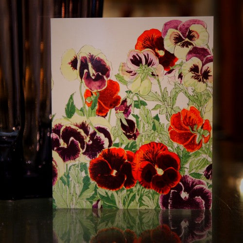 Pansies