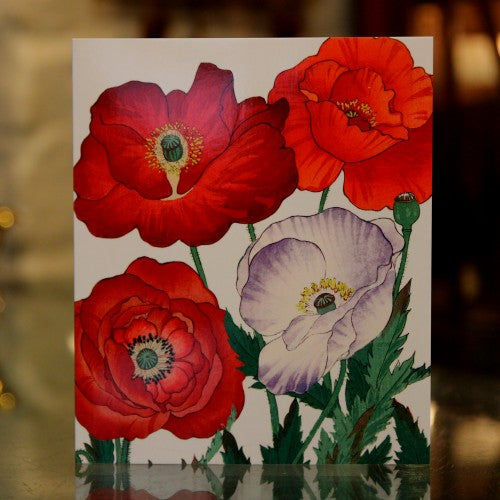 Poppies