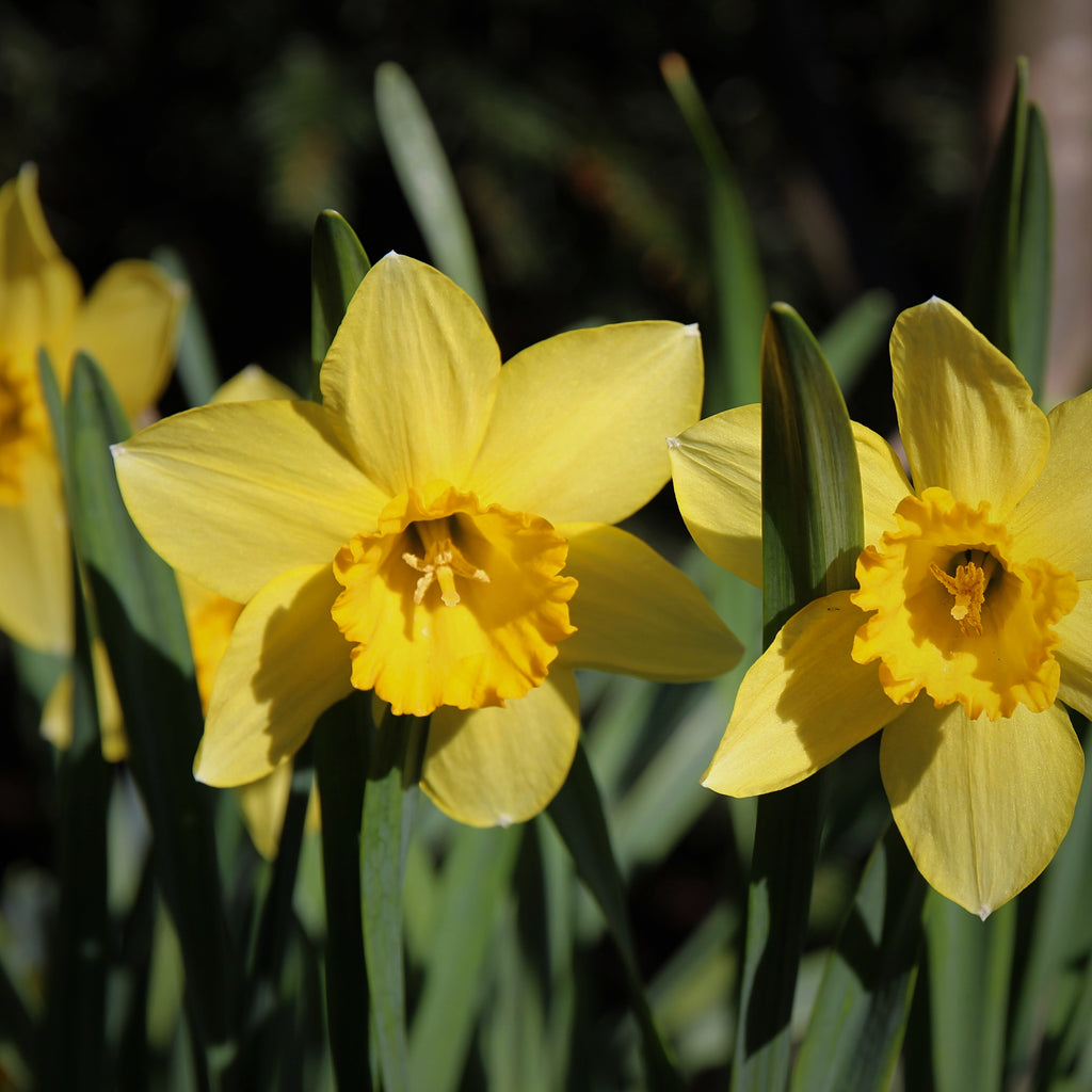 Welcome, March!