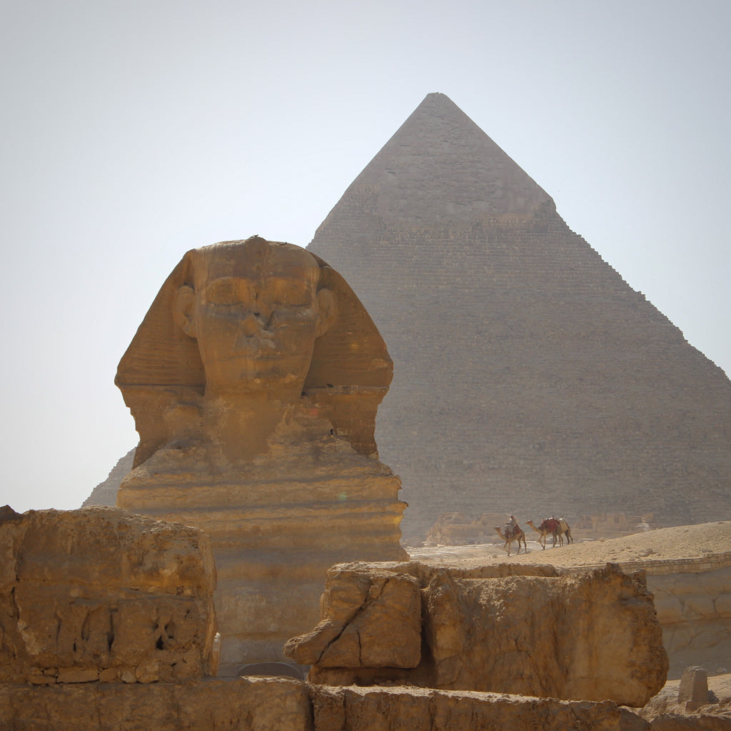 In Search of the Pharaoh's Daughter - V