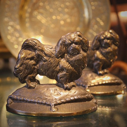 Pampered Pekingese Pooches