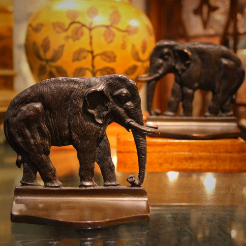 All Elephants are Lucky!