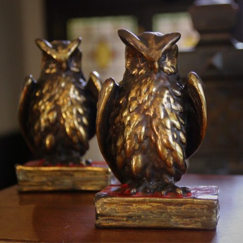 Birds of a Feather