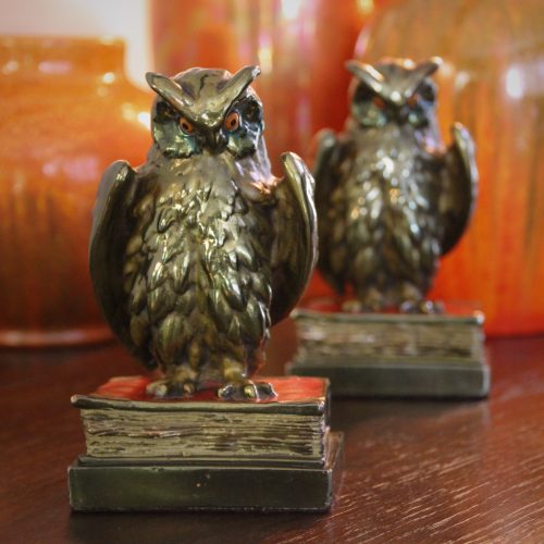 To My Wise Owl…