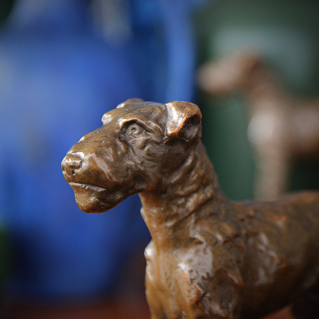 Terriers