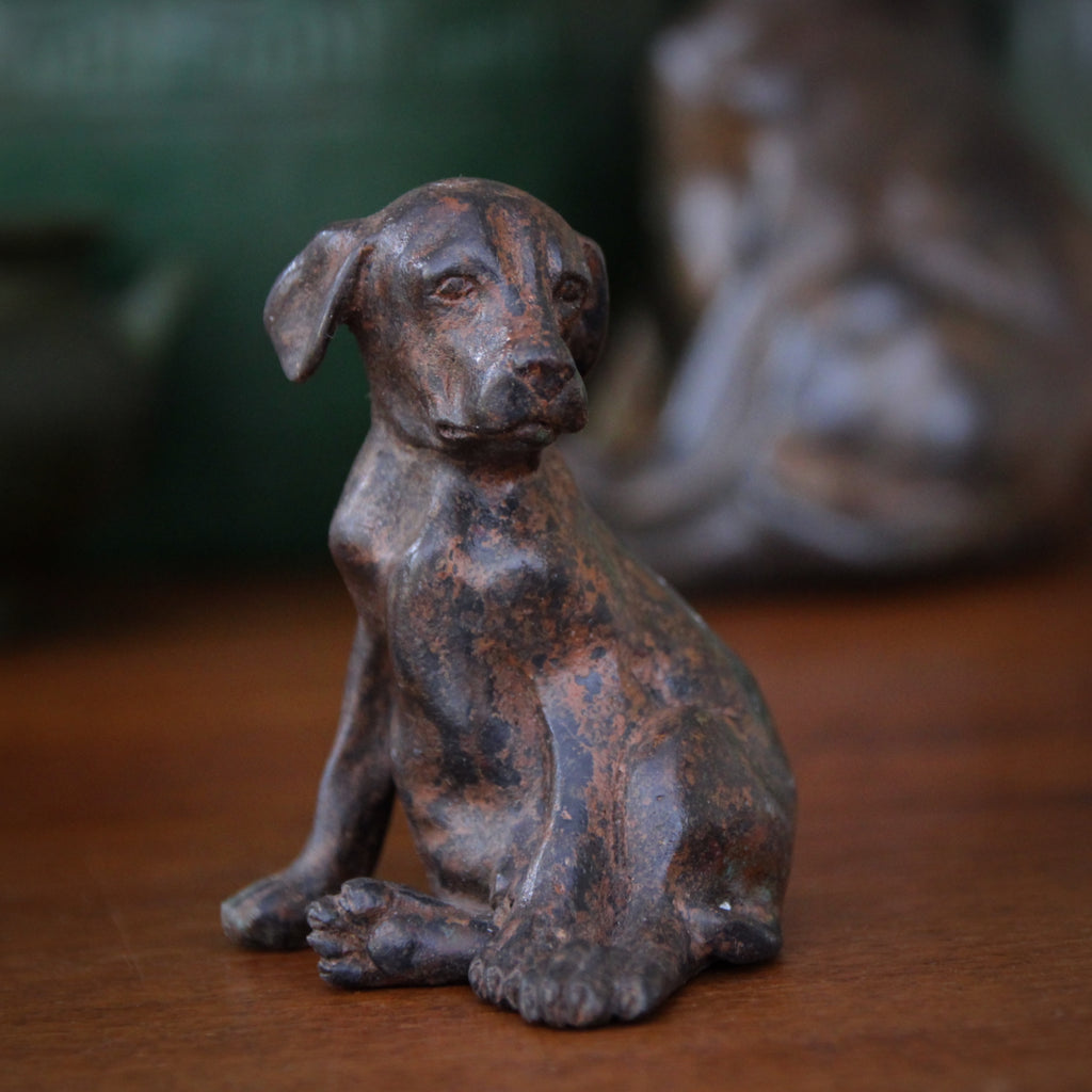 Slouchy Puppy