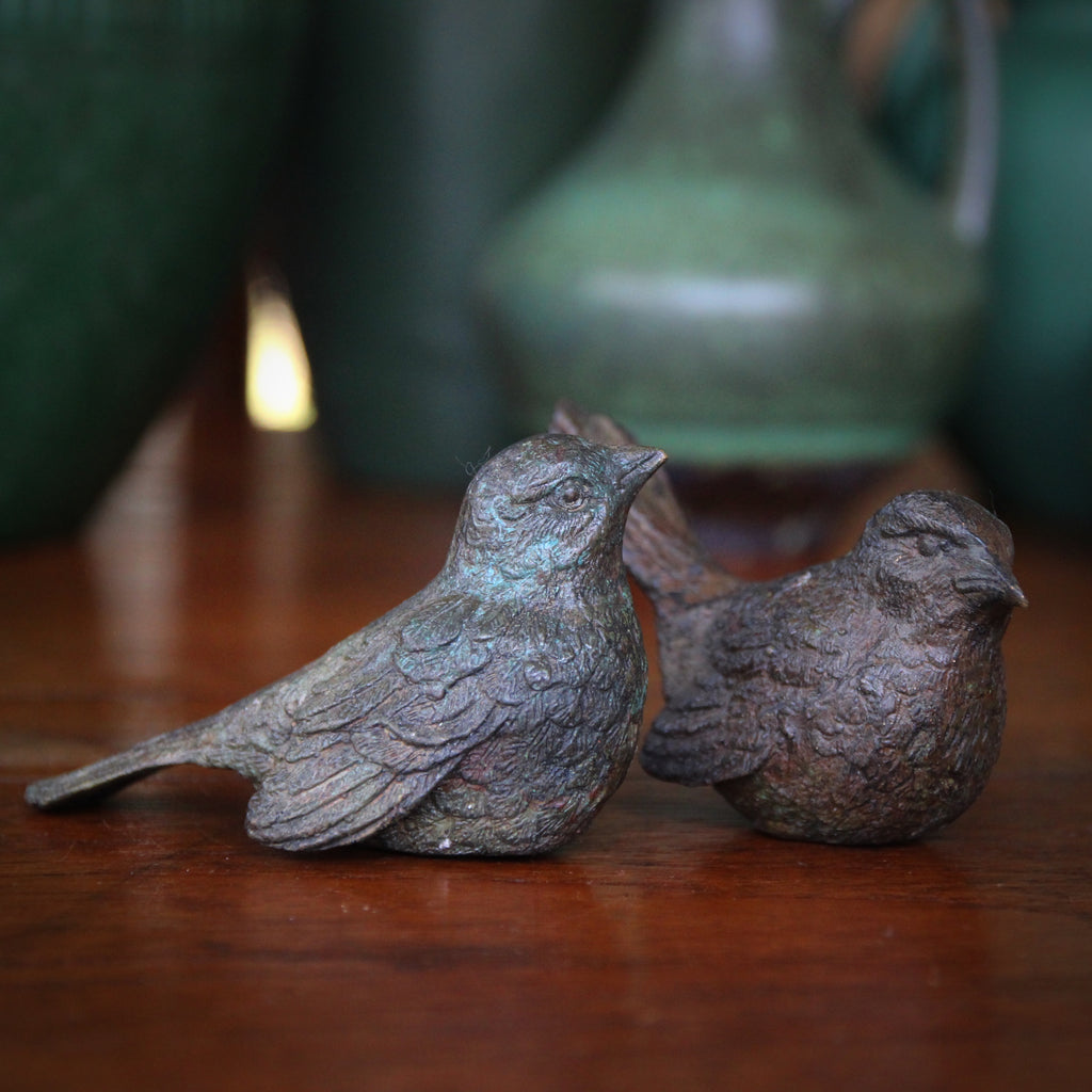 The Birds Are Back - Part VI