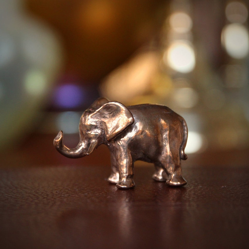 America’s First Elephant