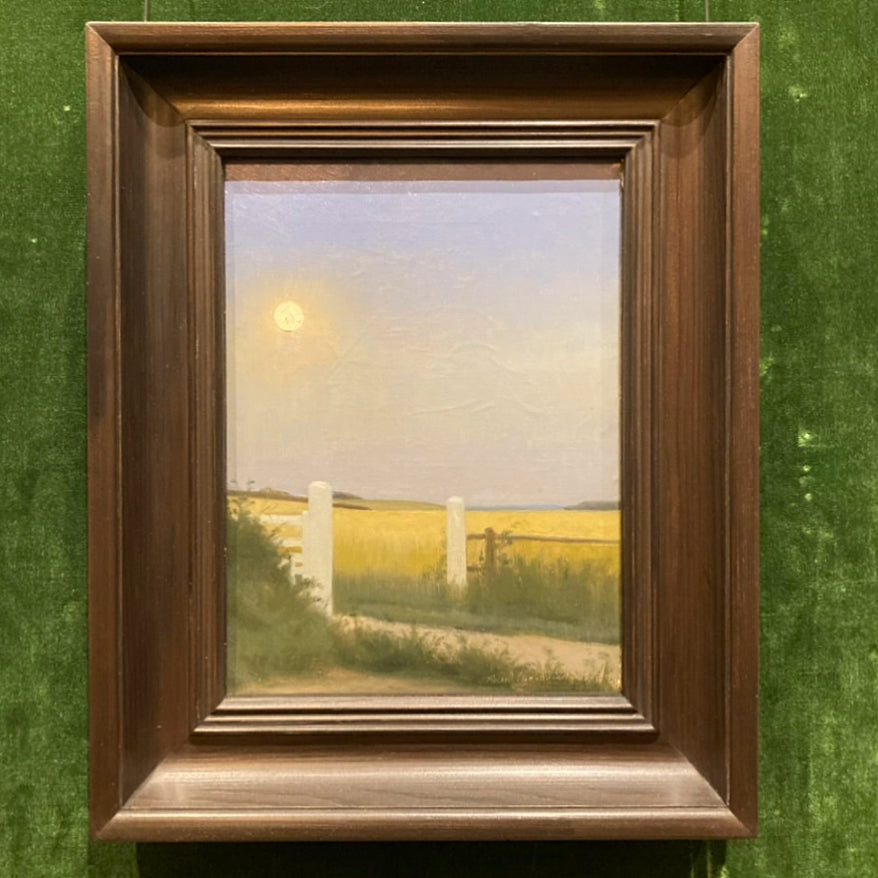 Scandinavia in Pittsburgh - I