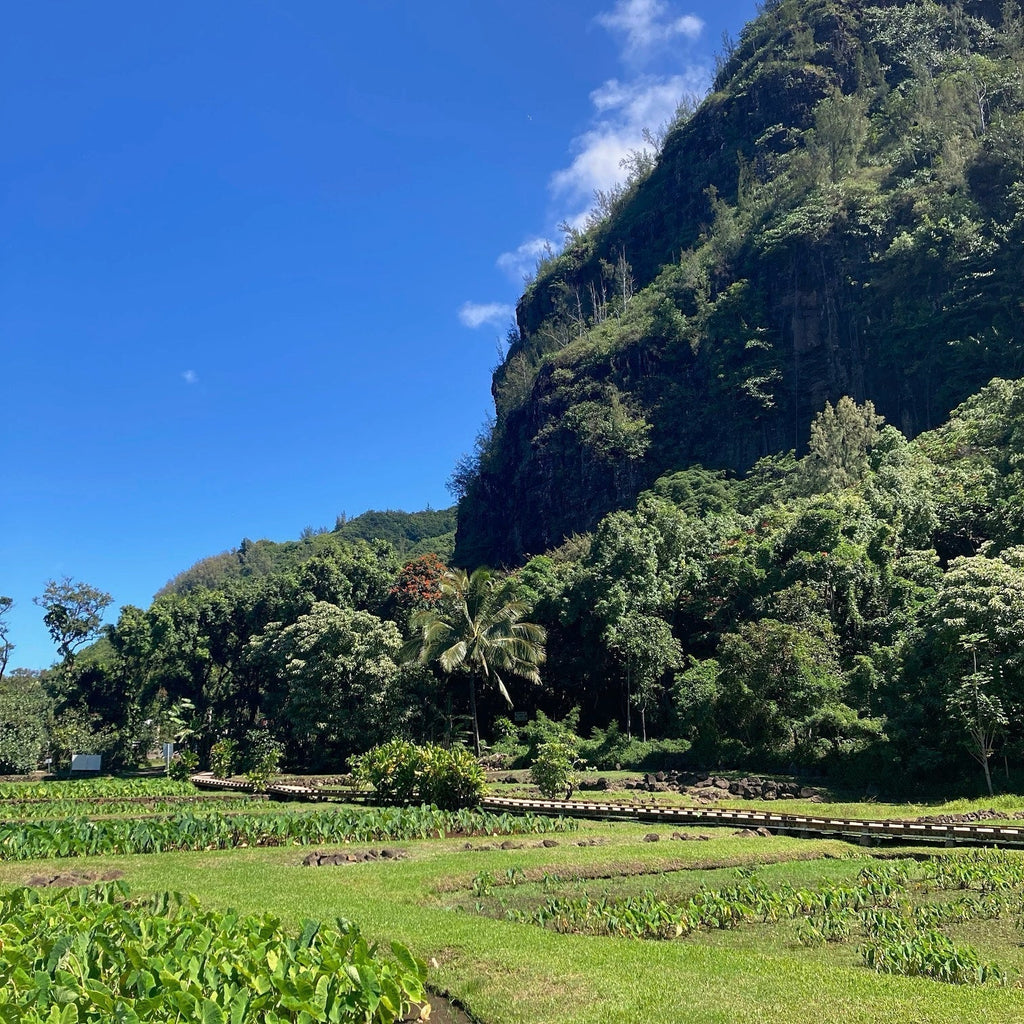 Kauai-Bound - VI