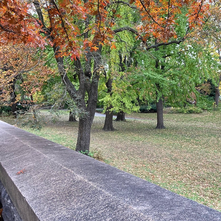 Autumn in New York - Part Two