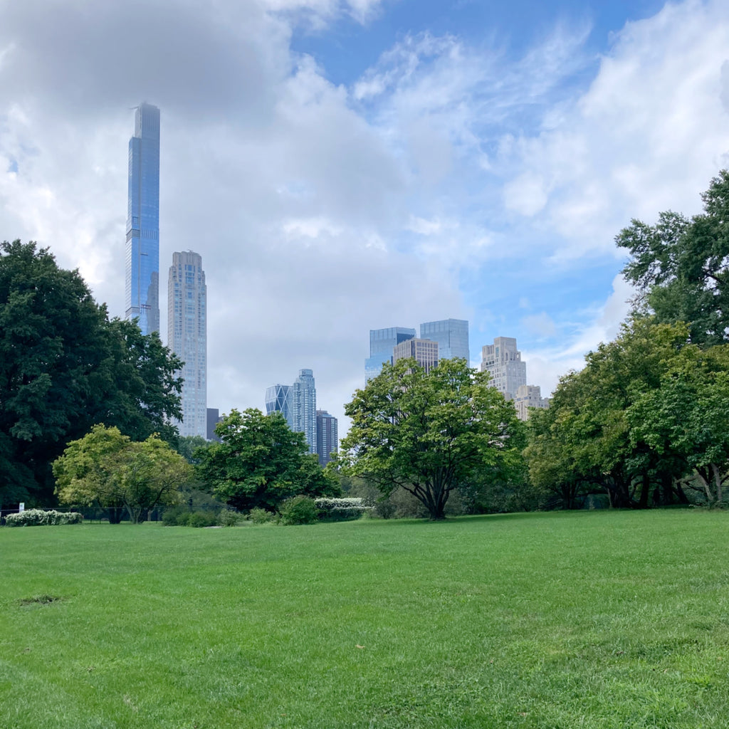 Musings on Central Park