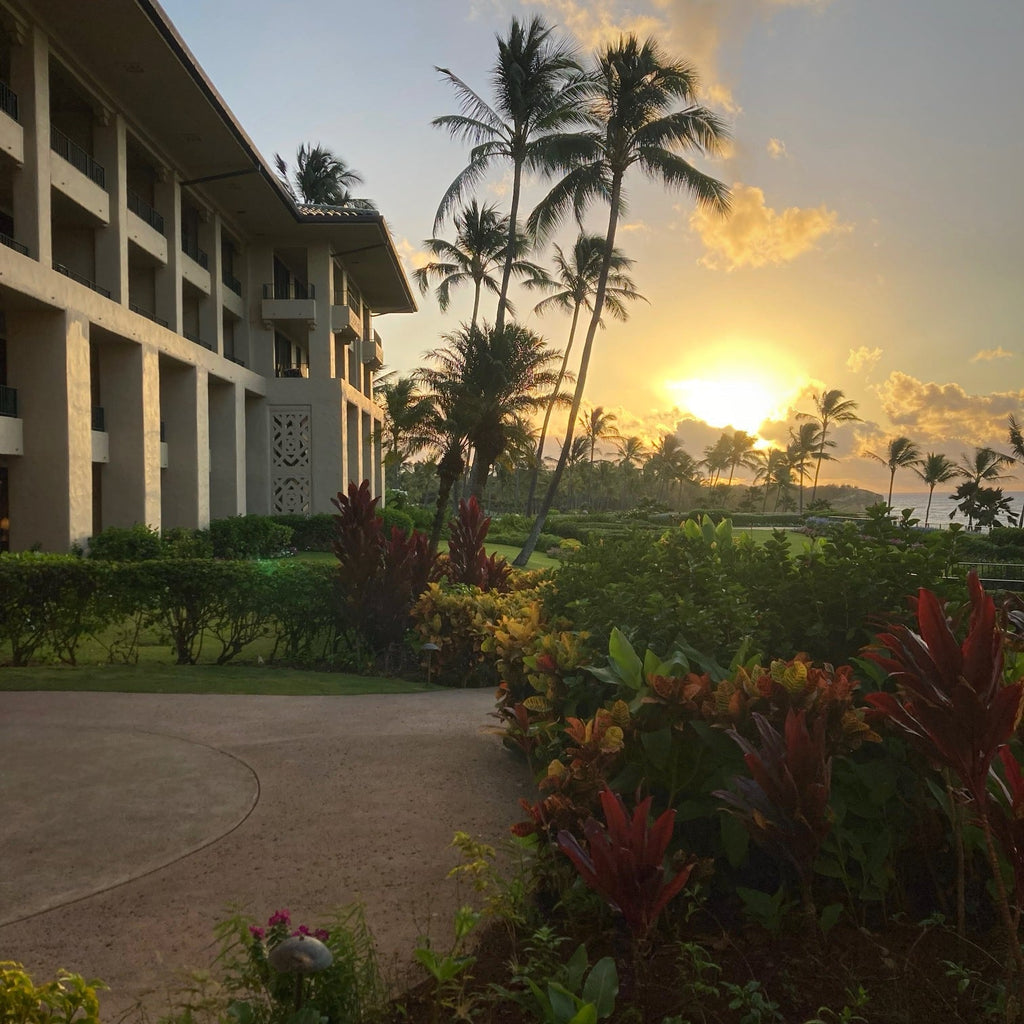 Kauai-Bound - V