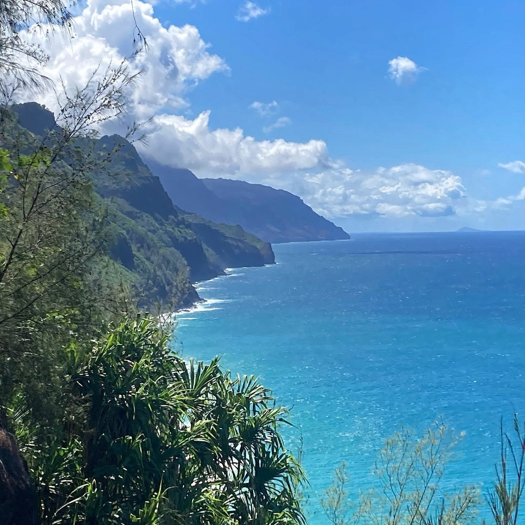Kauai-Bound - II