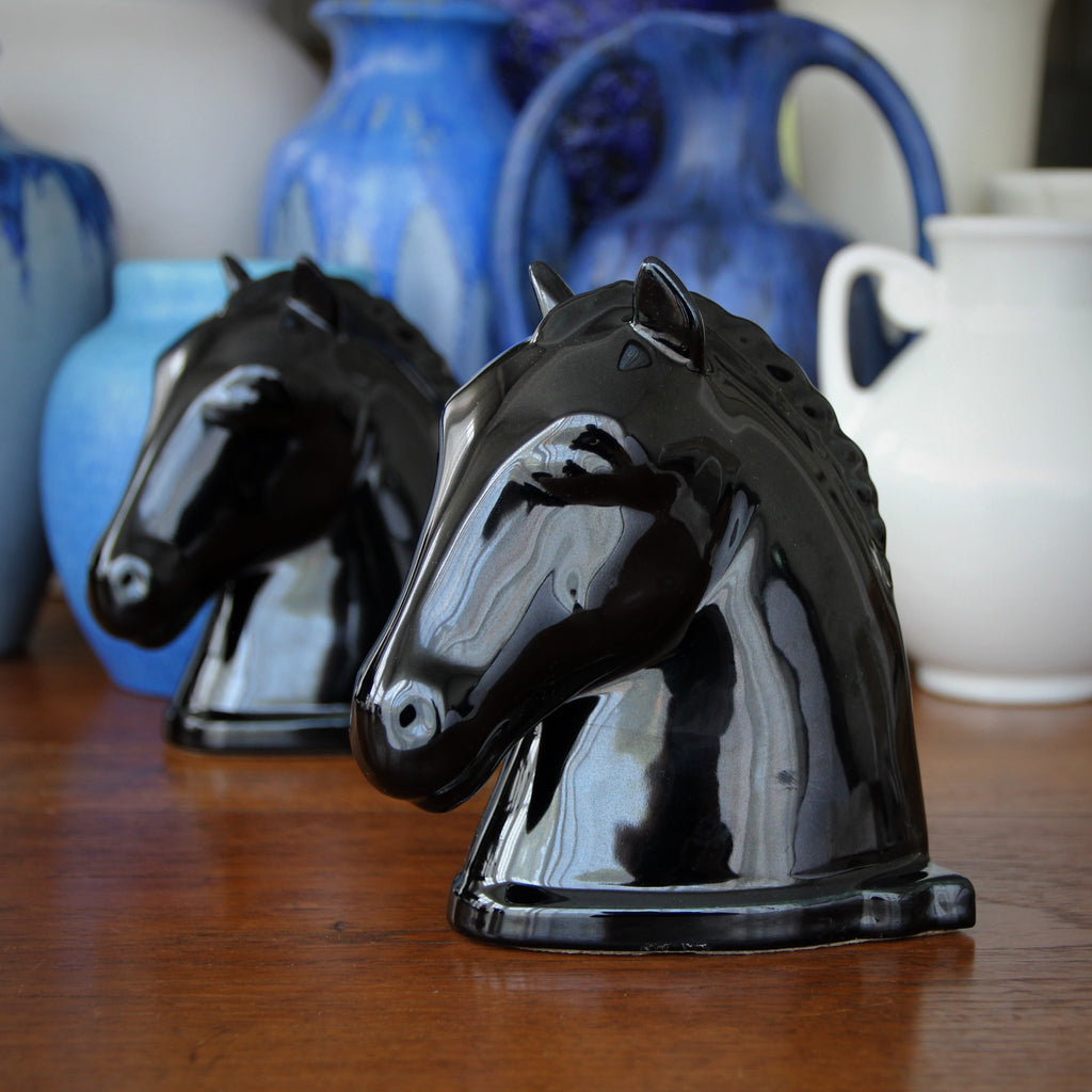 A Dark Horse
