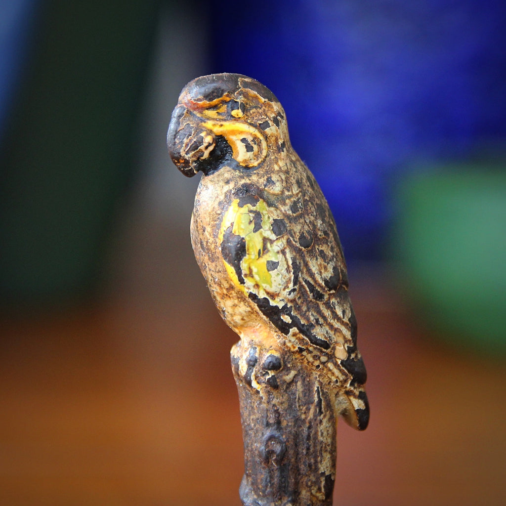Bird Watching - III