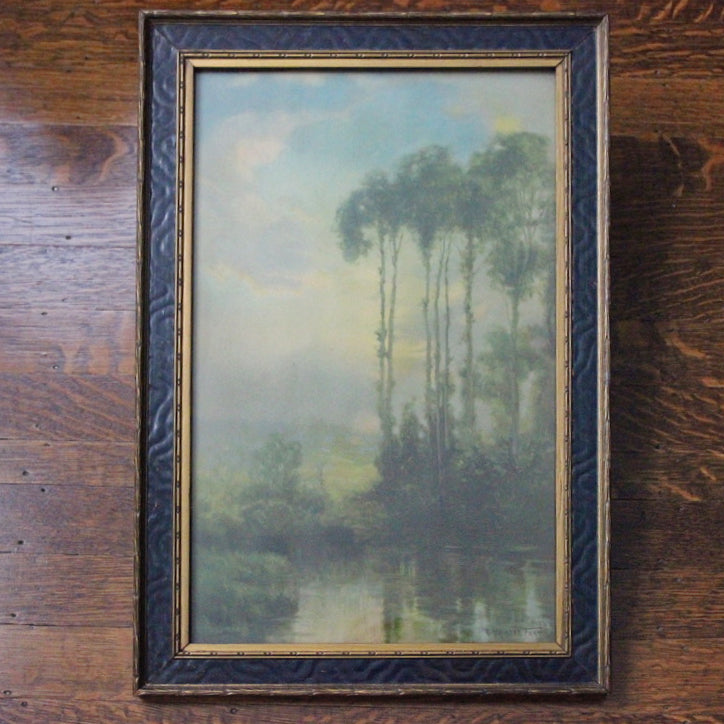 "Early Morning Mist"