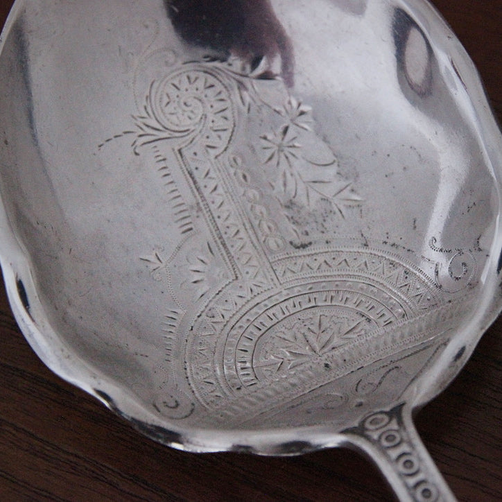 Enameled Sterling Berry Spoon