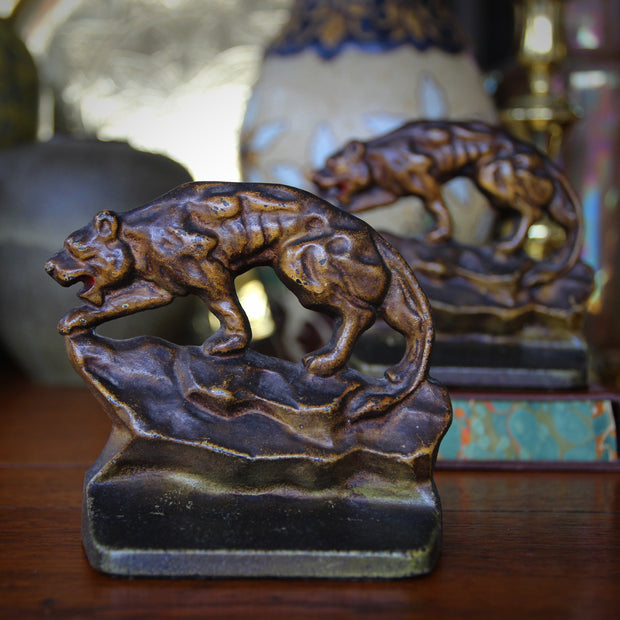 Stalking Mountain Lion Bookends