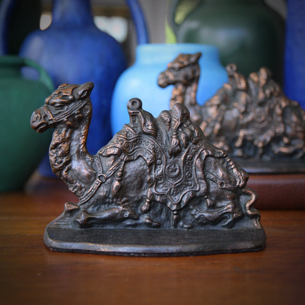 Dromedary Bookends (BACKSTOCK)