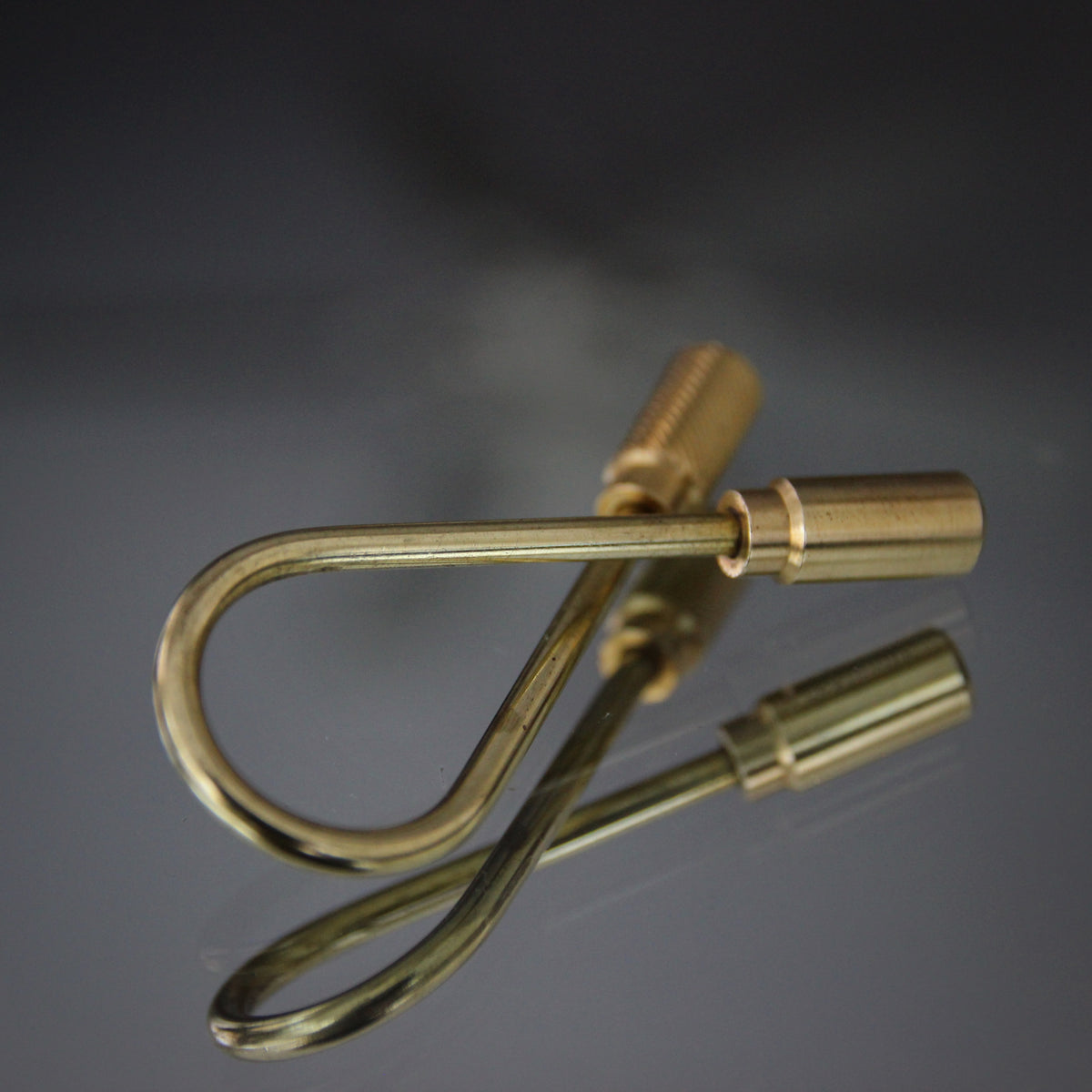 Brass Twist-Form Key Ring with Removable Screw-On Endcap – LEO Design,  Ltd.