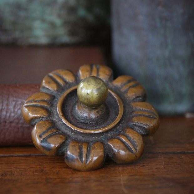 Bronze Corollated Paperweight