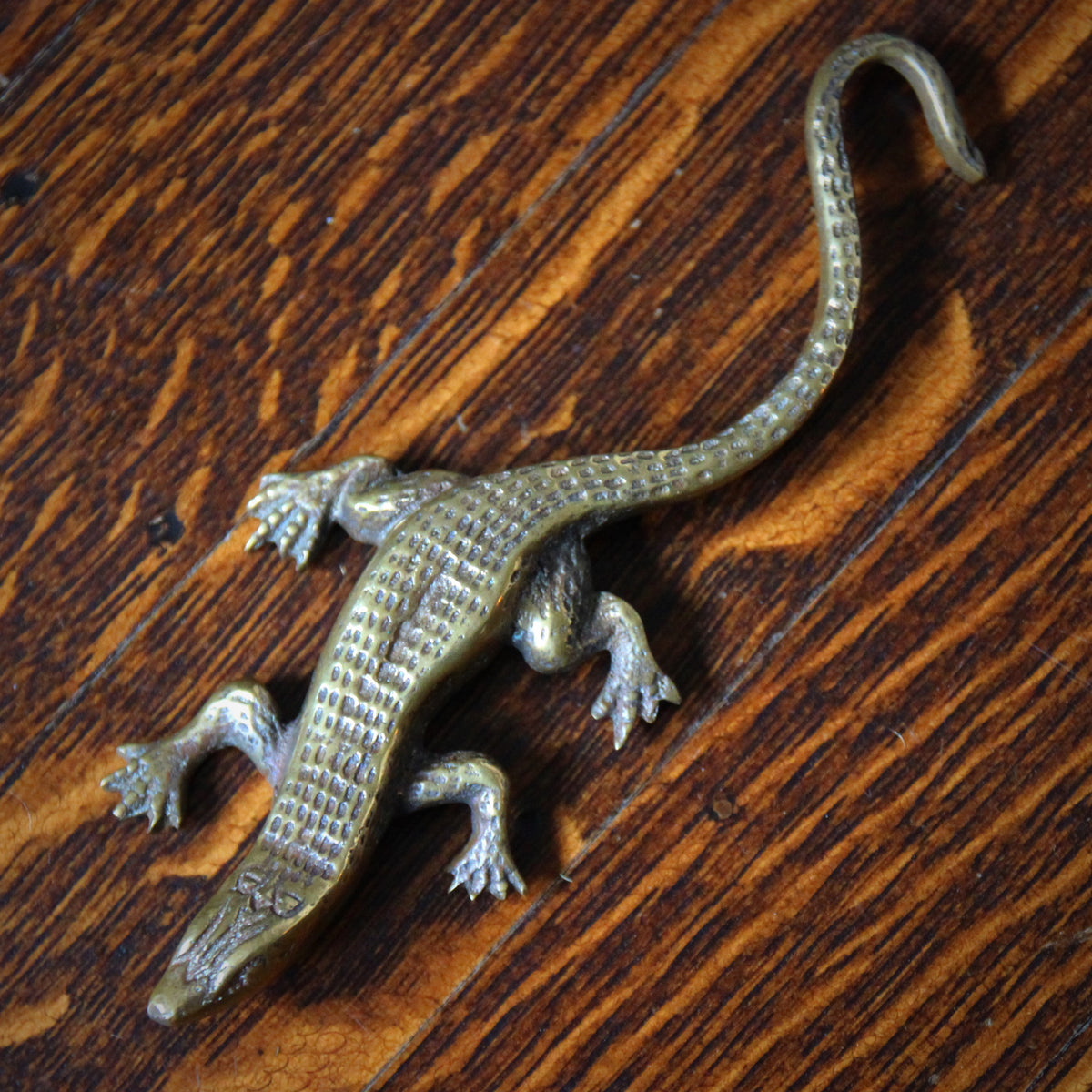 Edwardian Lizard