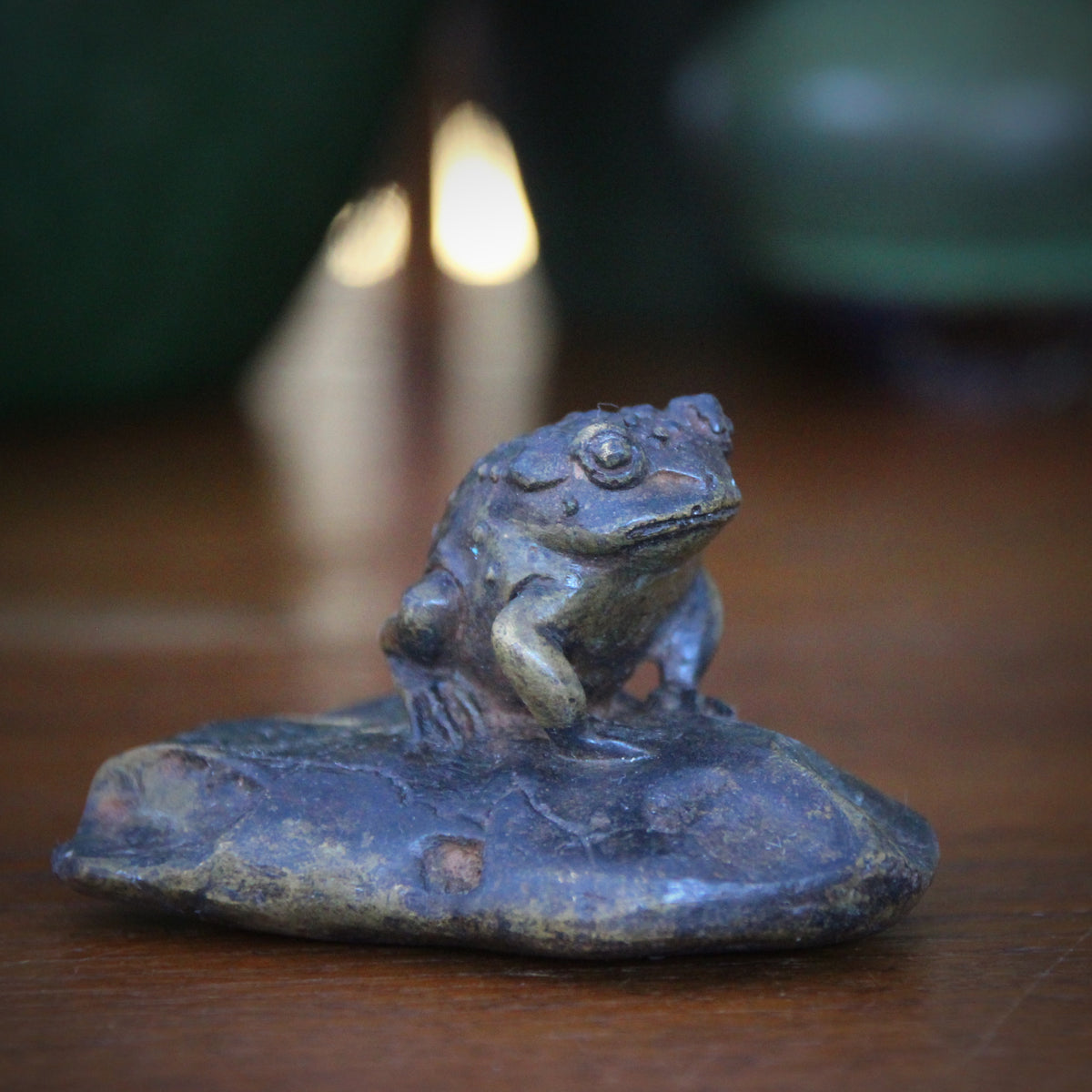 Toad on a Rock