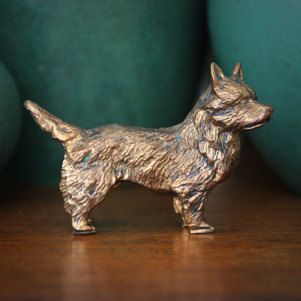 Victorian Bronze Terrier